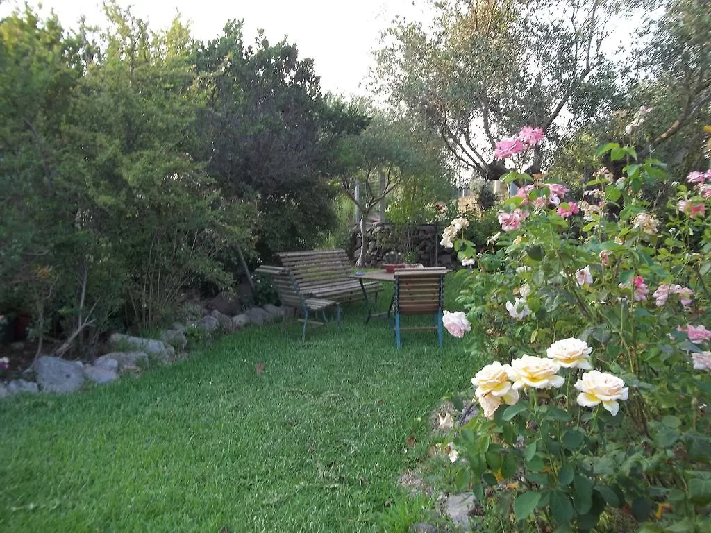 Bed and Breakfast Il Vecchioliveto di Ornella Marrùbiu Italia