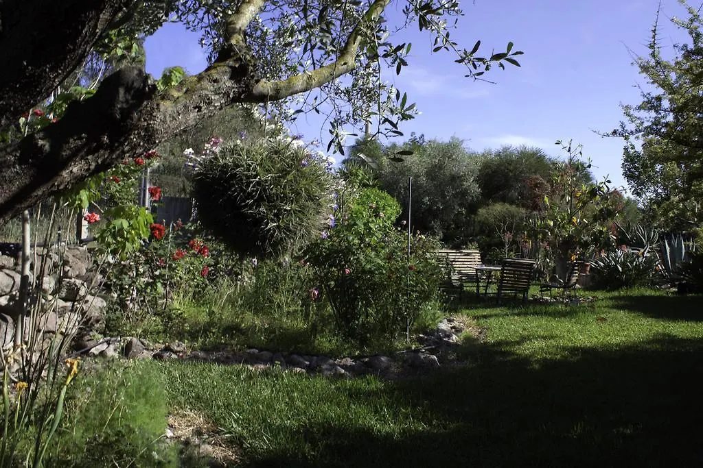 Bed & Breakfast Bed and Breakfast Il Vecchioliveto di Ornella Marrùbiu Italia