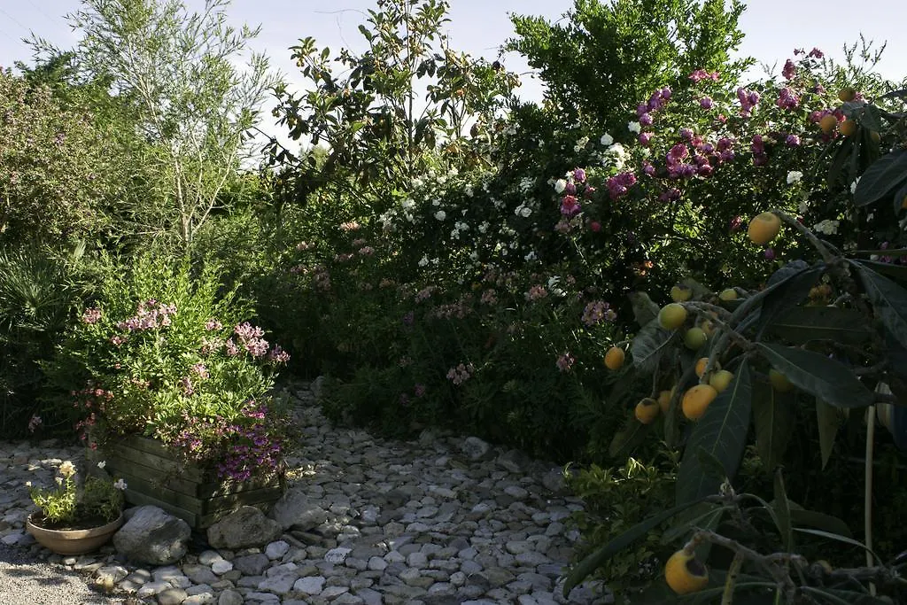Bed and Breakfast Il Vecchioliveto di Ornella Marrùbiu 0*,
