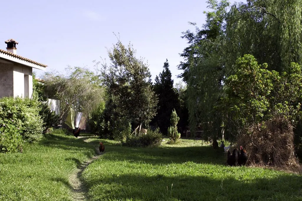 Il Vecchioliveto Di Ornella Bed & Breakfast Marrubiu