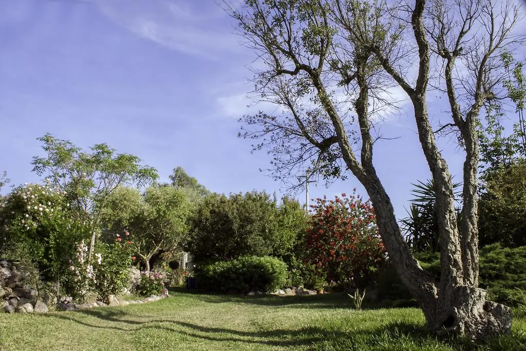 Bed and Breakfast Il Vecchioliveto di Ornella Marrùbiu
