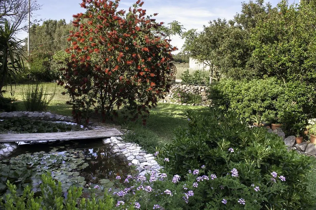 Bed & Breakfast Bed and Breakfast Il Vecchioliveto di Ornella Marrùbiu