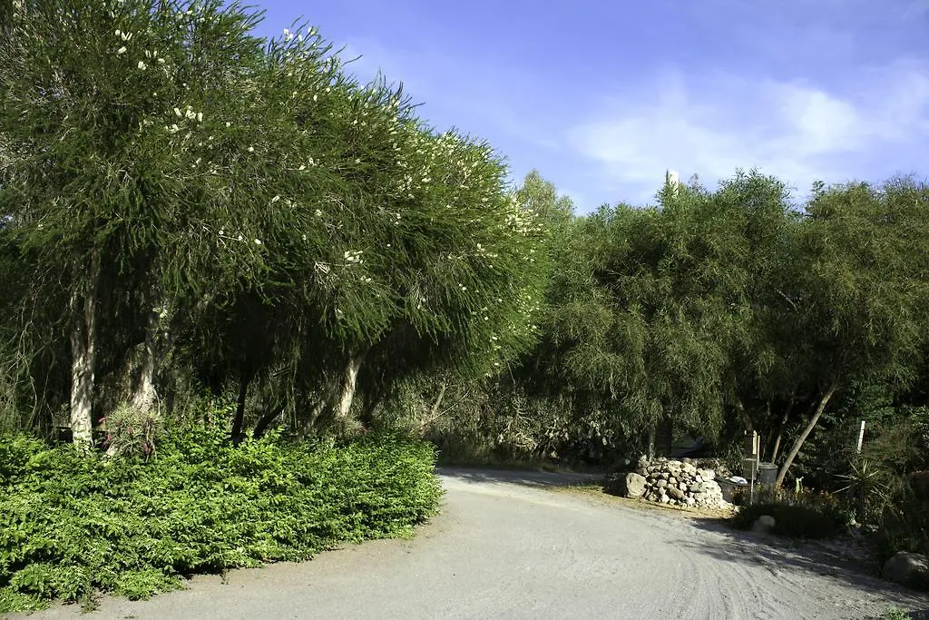 Bed and Breakfast Il Vecchioliveto di Ornella Marrùbiu Bed & Breakfast