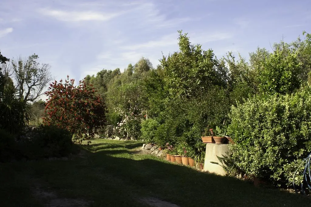 Il Vecchioliveto Di Ornella Bed & Breakfast Marrubiu