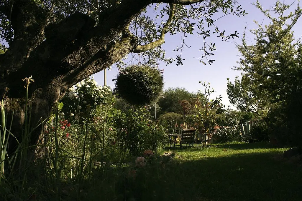 Il Vecchioliveto Di Ornella Bed & Breakfast Marrubiu Italy