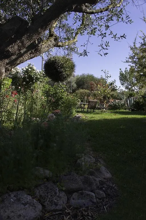Il Vecchioliveto Di Ornella Bed & Breakfast Marrubiu Italy