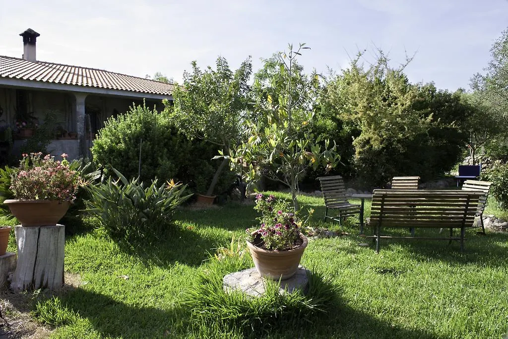 Bed and Breakfast Il Vecchioliveto di Ornella Marrùbiu 0*,  Italia